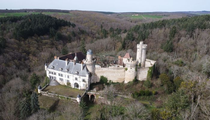 Schloss Veauce 2
