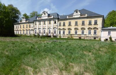 Schloss kaufen Dobříš, Středočeský kraj:  Rückansicht