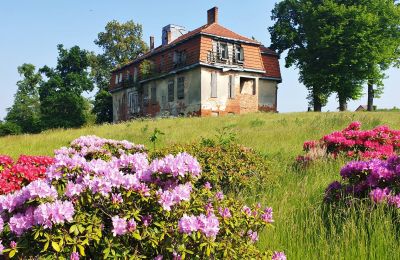 Herrenhaus/Gutshaus kaufen Pelplin, Kociewie, Pommern, Grundstück