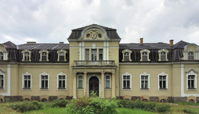 Slott til salgs Mielno, województwo wielkopolskie,  Polen
