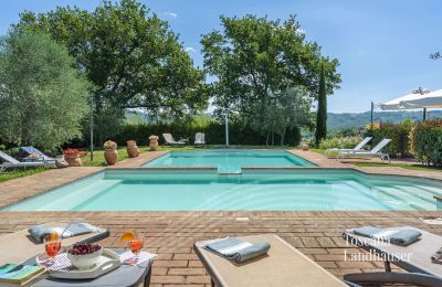 Landhuis te koop Asciano, Toscane:  RIF 2992 Pool und Liegemöglichkeit