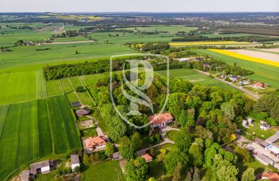 Herregård til salgs Przedbórz, województwo łódzkie, Utsikt