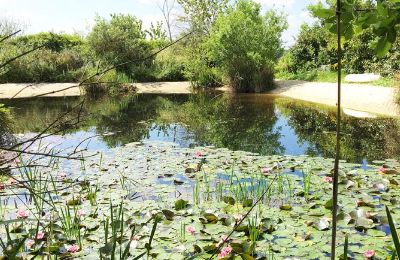 Herregård til salg Gémozac, Nouvelle-Aquitaine, Der Teich mit Sandstrand
