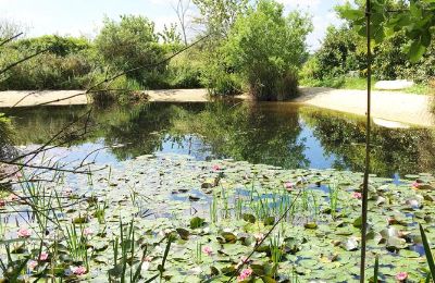 Herrgård till salu Gémozac, Nouvelle-Aquitaine:  Der Teich mit Sandstrand