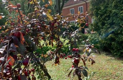 Herrenhaus/Gutshaus kaufen 14-330 Sople, Dworek Sople 17, Ermland-Masuren:  Garten