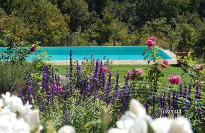 Landhaus kaufen Gaiole in Chianti, Toskana:  RIF 3003 Pool