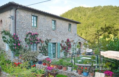 Landhaus kaufen Gaiole in Chianti, Toskana:  RIF 3003 Ansicht