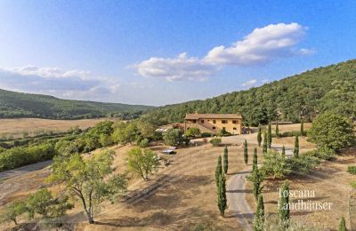 Landhaus kaufen Sarteano, Toskana:  RIF 3005 Zufahrt zum Anwesen