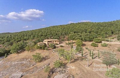 Landhaus kaufen Sarteano, Toskana:  RIF 3005 Anwesen und Umgebung