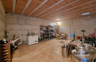 Bauernhaus kaufen Sarteano, Toskana:  RIF 3009 Cantina