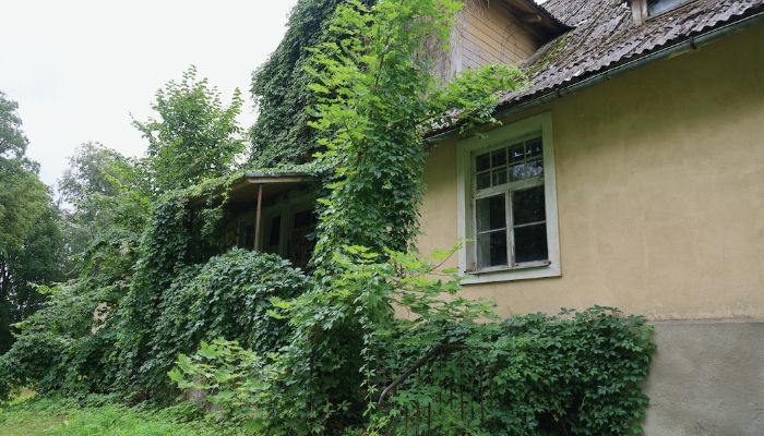 Herrenhaus/Gutshaus Bilska 3