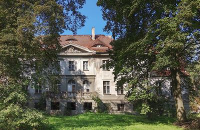 Schloss kaufen Karczewo, Großpolen:  Park