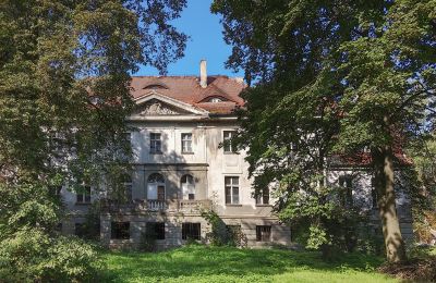 Slot til salg Karczewo, województwo wielkopolskie, Park