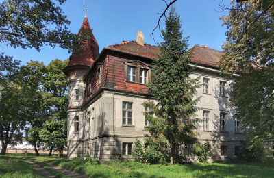 Schloss kaufen Karczewo, Großpolen:  Seitenansicht