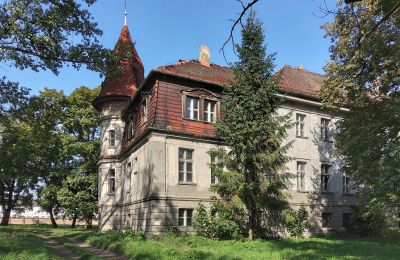 Slot til salg Karczewo, województwo wielkopolskie, Sidevisning