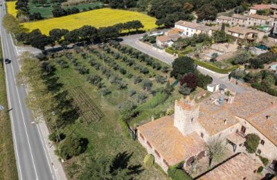 Landhus til salg Platja d'Aro, Catalonien, Ejendom