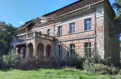 Slot til salg Granówko, województwo wielkopolskie, Billede 15/16