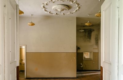 Slot til salg Granówko, województwo wielkopolskie, Interiør