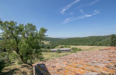 Bauernhaus kaufen Asciano, Toskana:  RIF 2982 Blick auf Landschaft