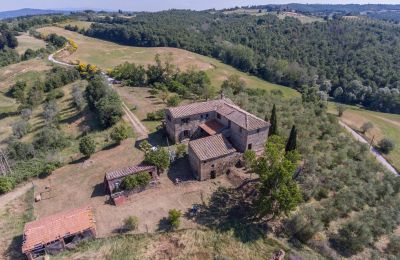 Bauernhaus kaufen Asciano, Toskana:  RIF 2982 Anwesen und Zufahrt