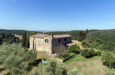 Bauernhaus kaufen Asciano, Toskana:  RIF 2982 Ansicht Anwesen
