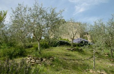 Kirke til salgs 06060 Lisciano Niccone, Umbria, Bilde 23/30