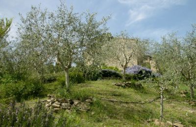 Kirke til salgs 06060 Lisciano Niccone, Umbria:  