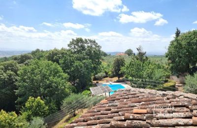 Landhuis te koop Monte San Savino, Toscane:  RIF 3008 Pool und Umgebung