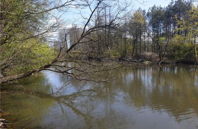 Historisk park till salu Dębe Wielkie, Ruda, województwo mazowieckie:  Dam