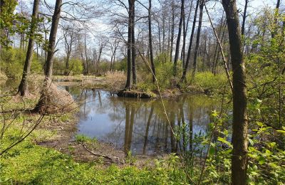 Historisk park till salu Dębe Wielkie, Ruda, województwo mazowieckie:  