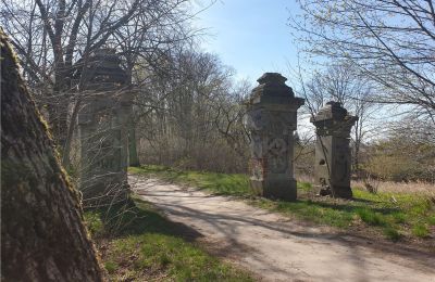 Historisk park til salg Dębe Wielkie, Ruda, województwo mazowieckie, Billede 2/24