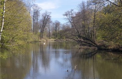 Historisk park till salu Dębe Wielkie, Ruda, województwo mazowieckie:  