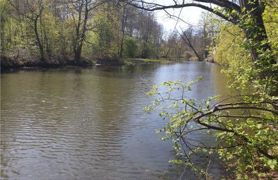 Historisk park till salu Dębe Wielkie, Ruda, województwo mazowieckie:  