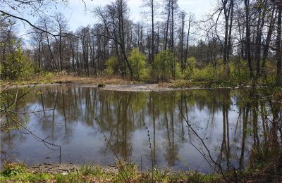 Historisk park till salu Dębe Wielkie, Ruda, województwo mazowieckie:  