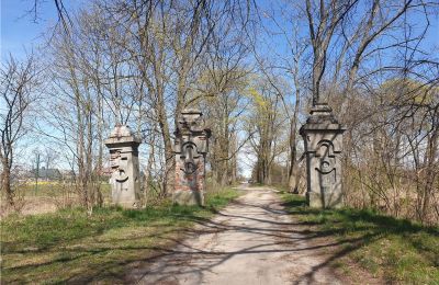 Historisk park til salg Dębe Wielkie, Ruda, województwo mazowieckie, Indkørsel