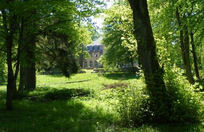 Schloss til salgs Trzcinno, Trzcinno 21, Pommern, Park