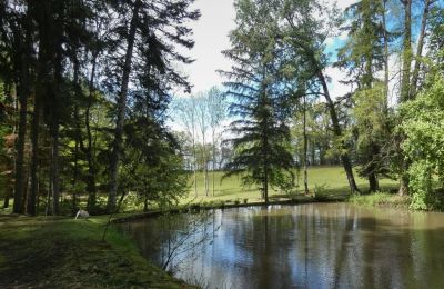 Schloss kaufen Burgund-Franche-Comté, Teich/See