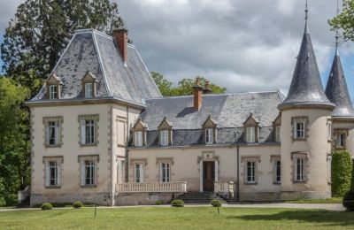 Schloss kaufen Burgund-Franche-Comté, Außenansicht