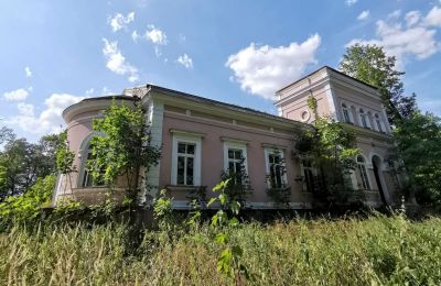 Herregård til salgs Lubiatów, Dwór w Lubiatowie, województwo łódzkie, Utvendig