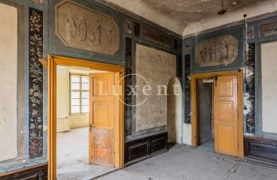 Slott till salu Cítoliby, Zamek Cítoliby, Ústecký kraj, Detaljer
