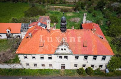 Schloss kaufen Brody, Zámek Brody, Ústecký kraj:  Dach