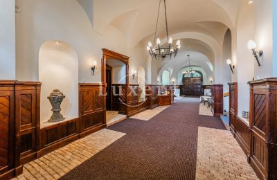 Slott til salg Mirošov, Zámek Mirošov, Plzeňský kraj, Inngangshall