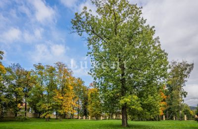 Slott till salu Mirošov, Zámek Mirošov, Plzeňský kraj:  