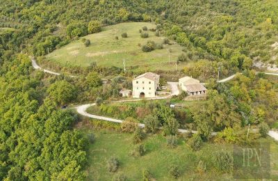 Bauernhaus kaufen 06019 Pierantonio, Umbrien:  Drohne