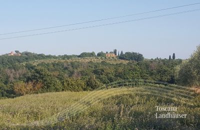 Bauernhaus kaufen Sinalunga, Toskana:  RIF 3032 Blick auf Rustico