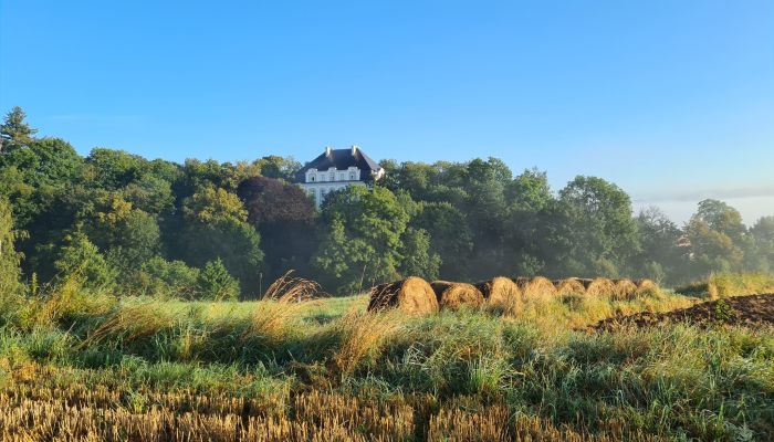 Slott til salgs Piszkowice, województwo dolnośląskie,  Polen