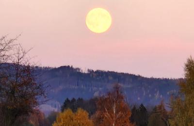 Slott til salgs Piszkowice, województwo dolnośląskie, Okokica