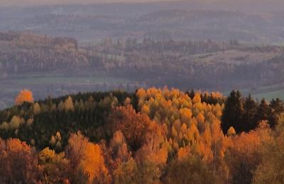 Slott til salgs Piszkowice, województwo dolnośląskie, Bilde 23/28