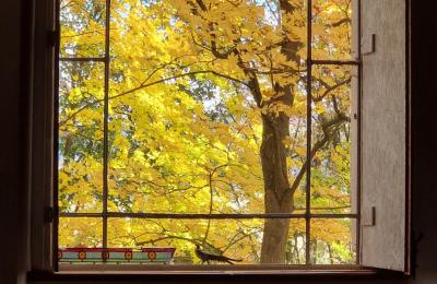 Slott til salgs Piszkowice, województwo dolnośląskie, Bilde 25/28