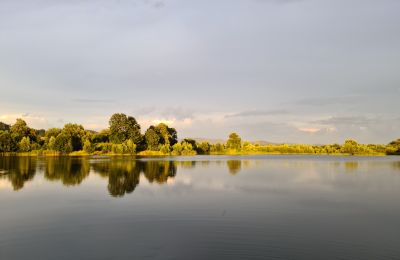 Kasteel te koop Piszkowice, województwo dolnośląskie:  